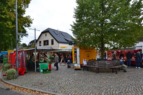 Fotogalerie2 des Bürgervereins Borgfeld, 2025
