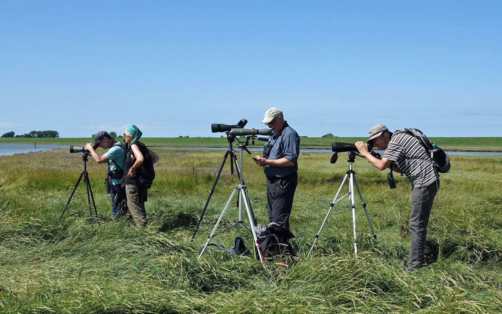 Vogelkiek am Polder Kreuzdeich